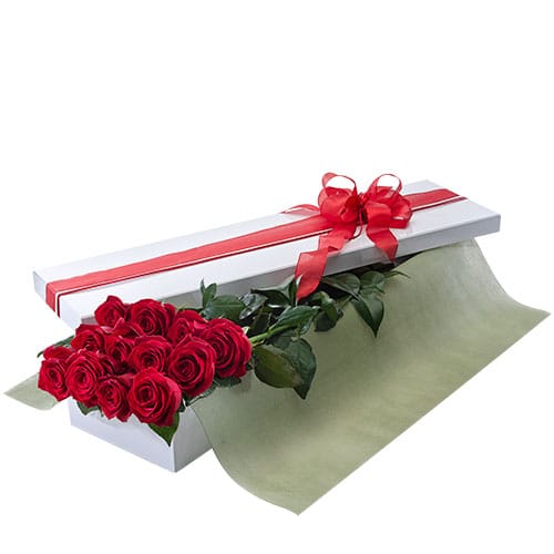 Seduction Red Roses Box