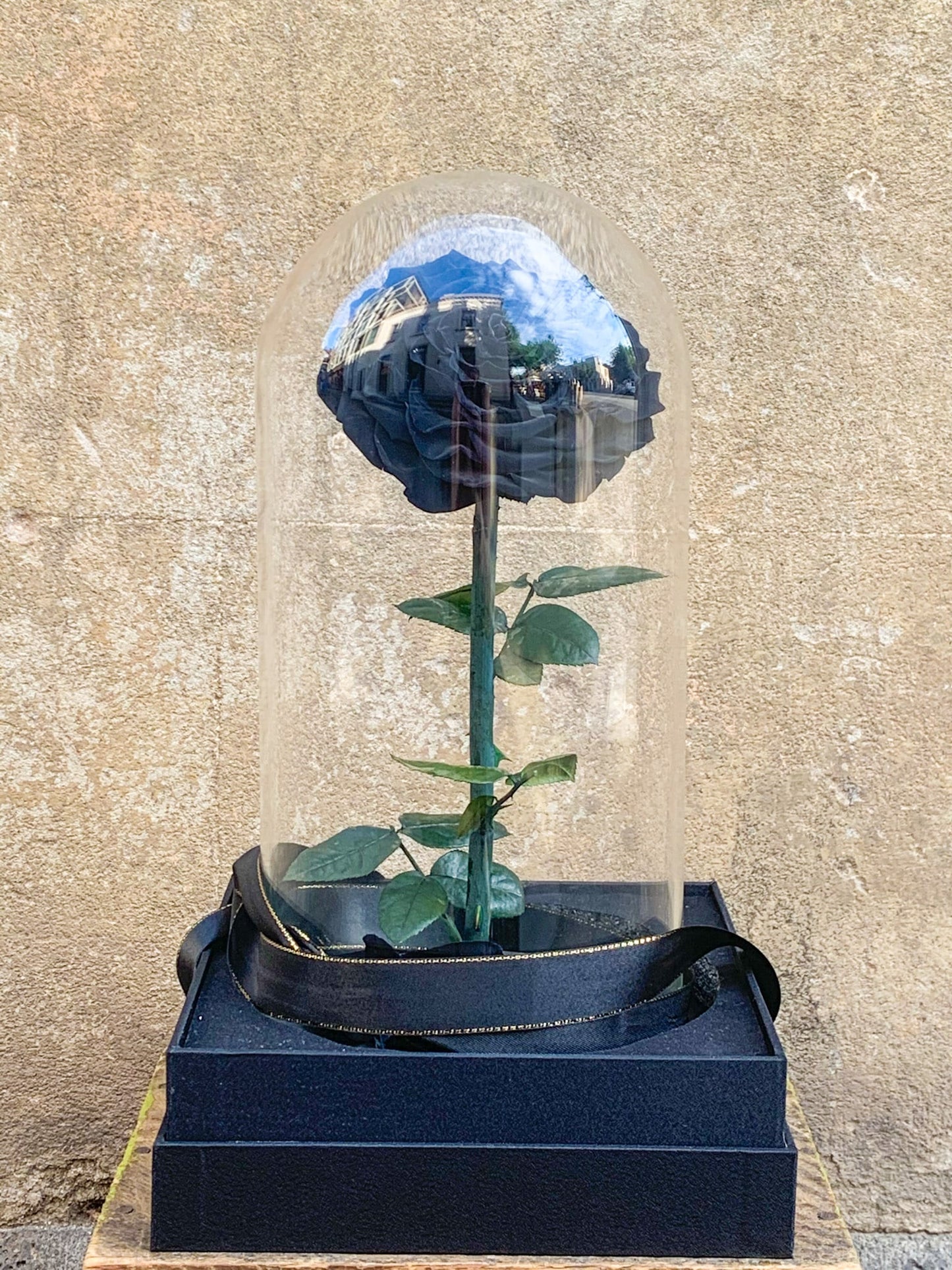 External Preserved Rose