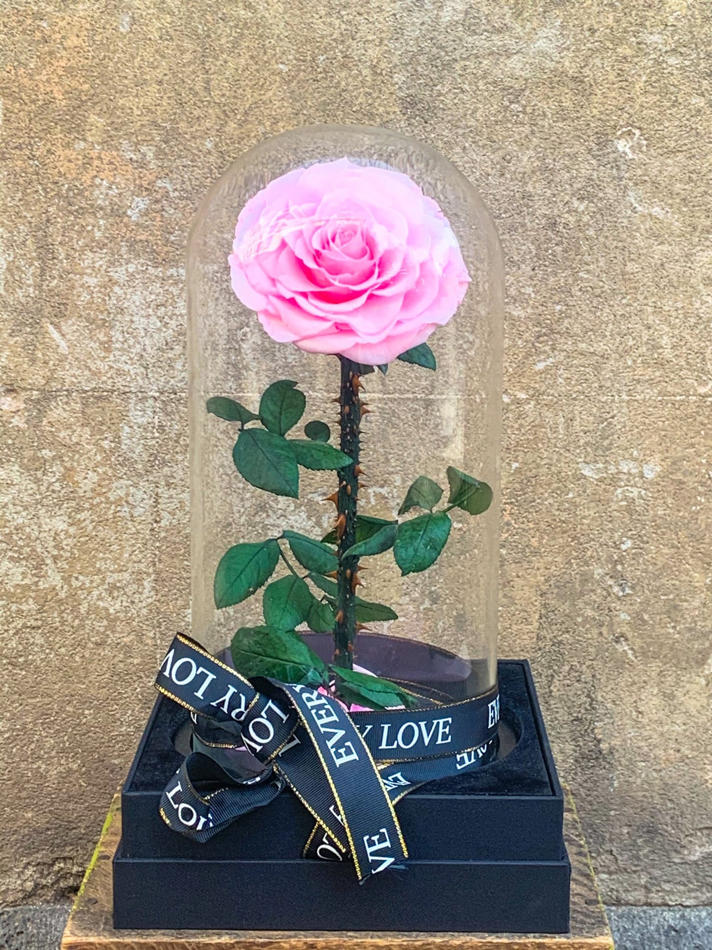External Preserved Rose