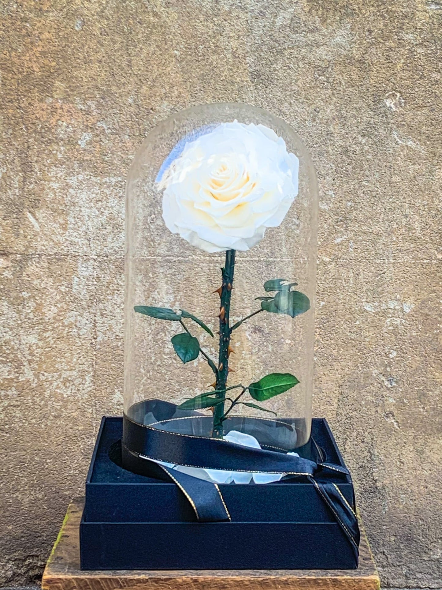 External Preserved Rose