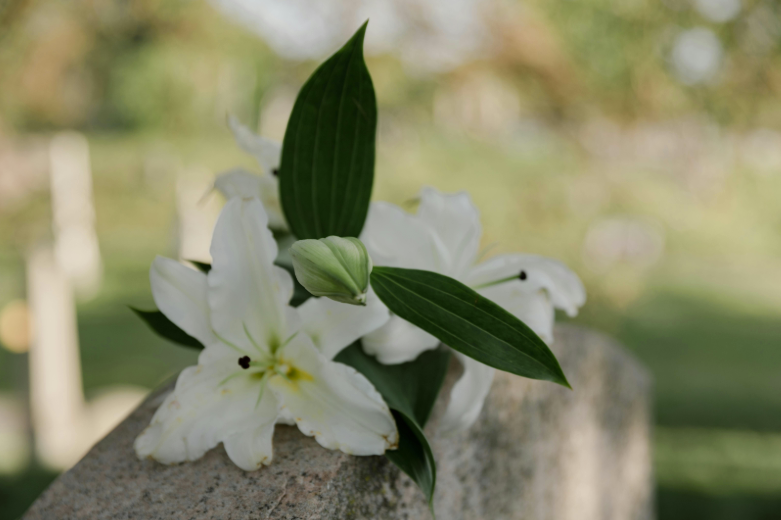 Flower Delivery Fawkner: Thoughtful Blooms for Sympathy and Support