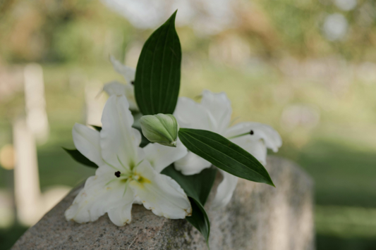 Flower Delivery Fawkner: Thoughtful Blooms for Sympathy and Support