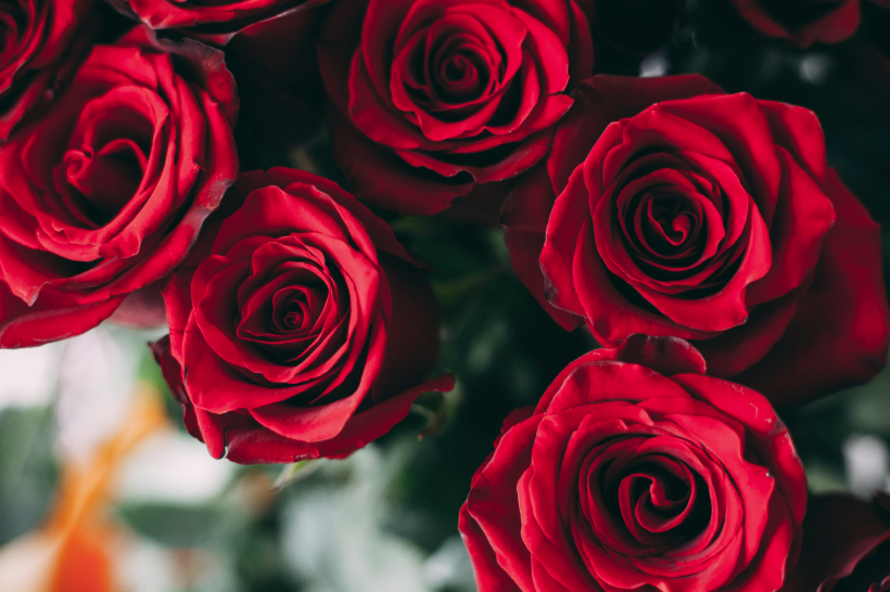 Valentine’s Day Flowers in Coburg: What to Buy & When to Order