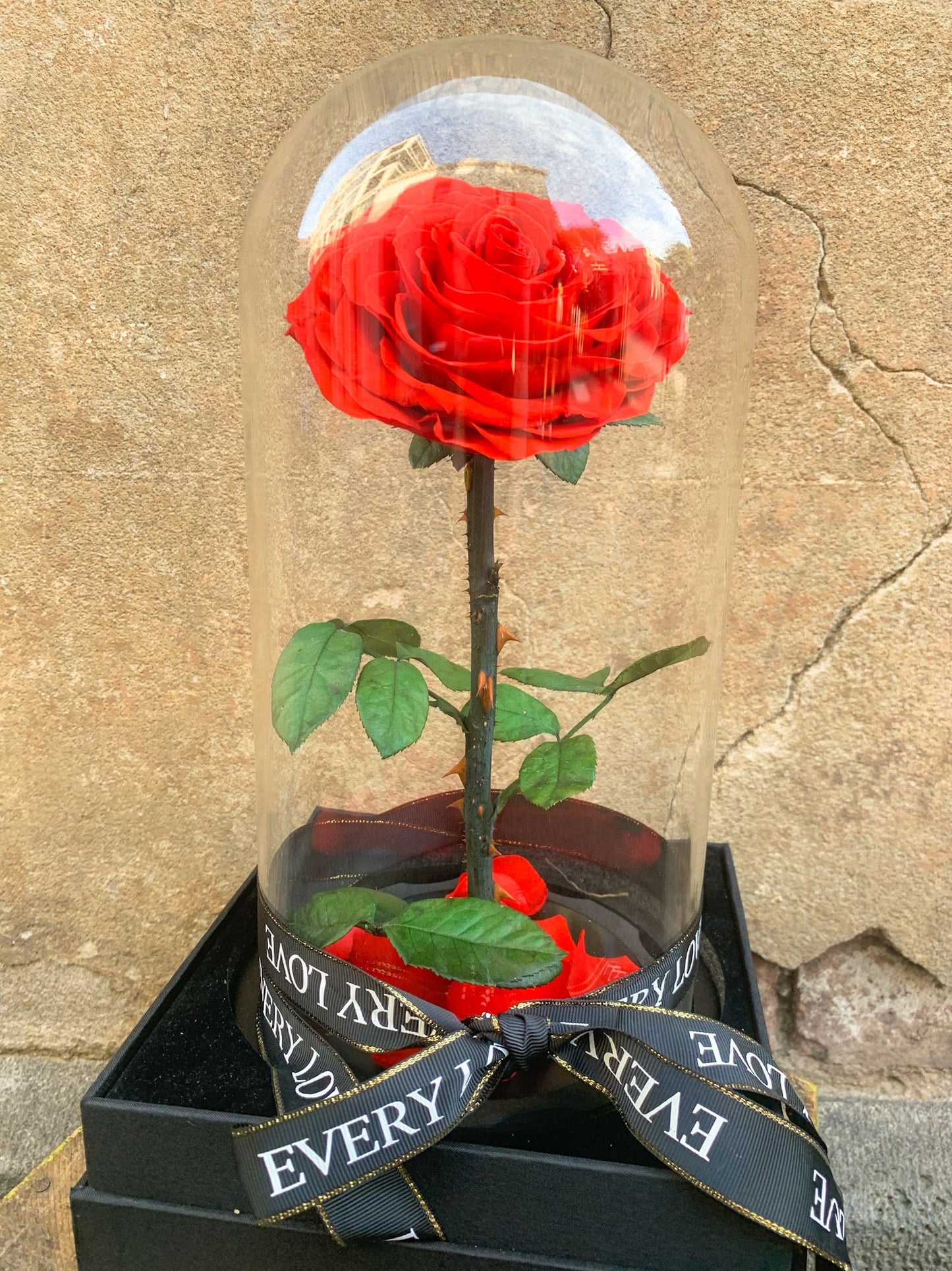 External Preserved Rose