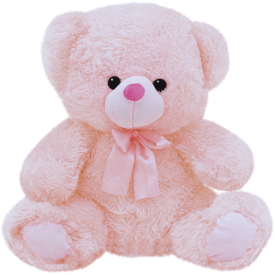 Teddy Bear (Large)