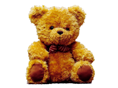 Teddy Bear (Small)